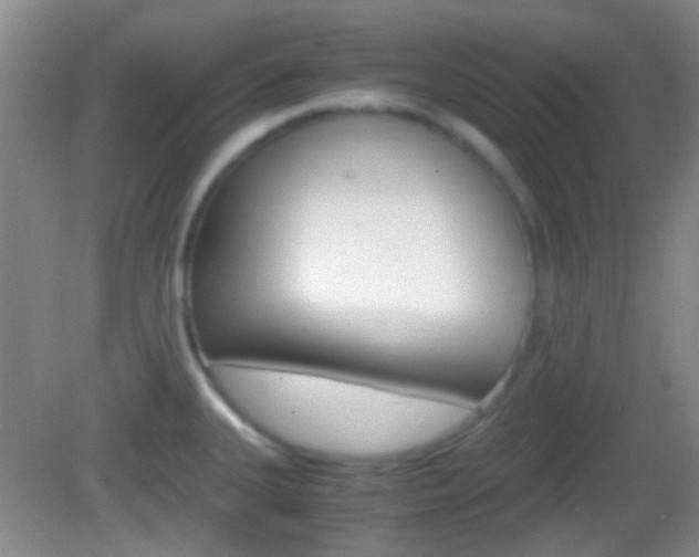 X0000082971335200702011132