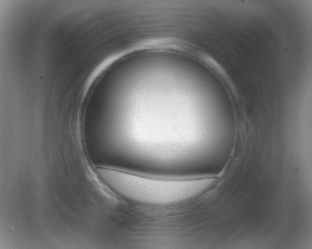 X0000082971336200702011132