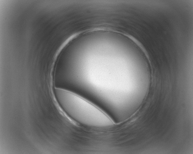 X0000082971341200702011132