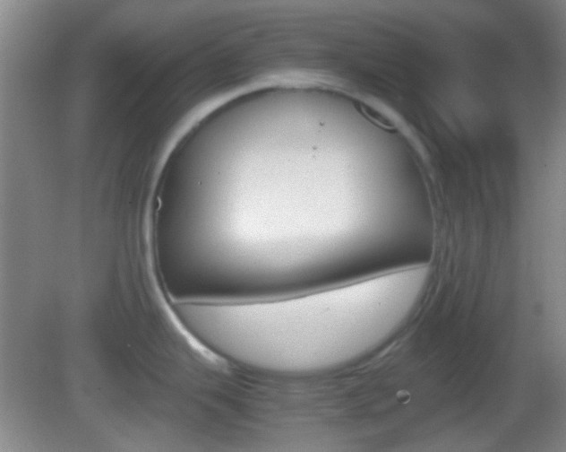 X0000082971343200702011133