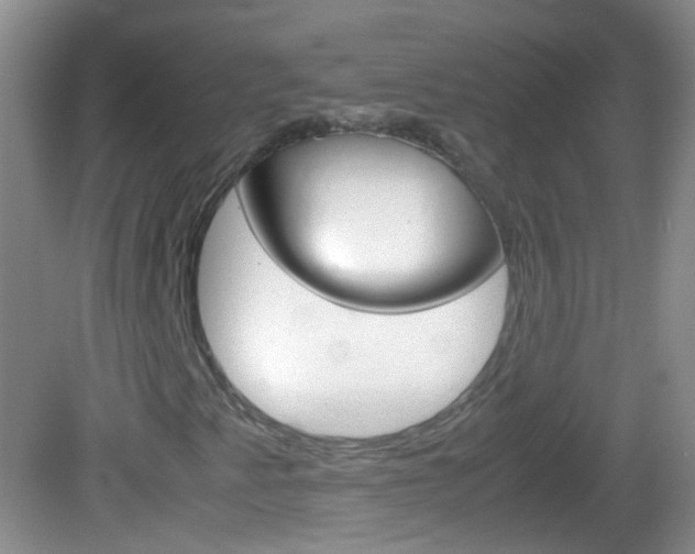 X0000082971345200702011132