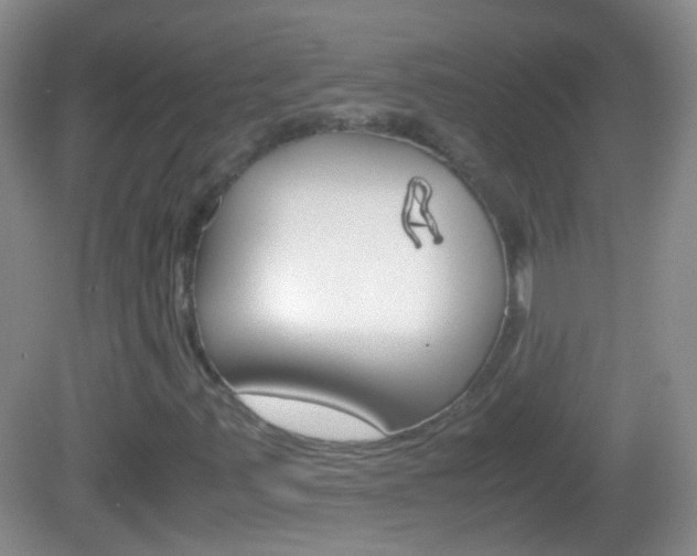 X0000082971347200702011132