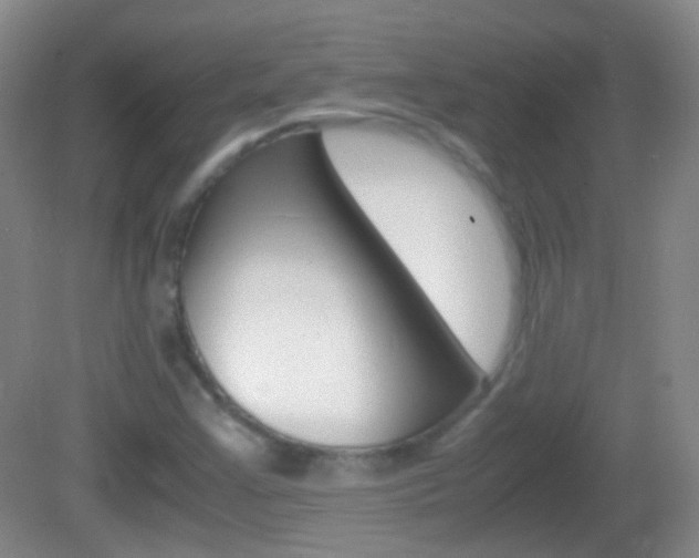 X0000082971355200702011132