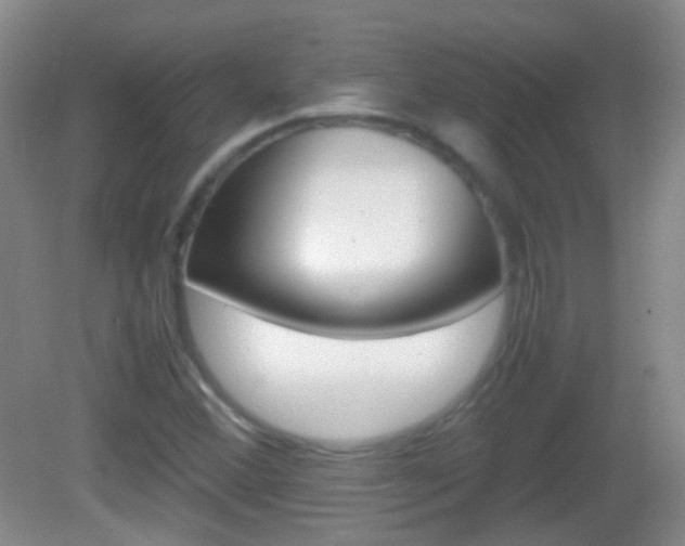 X0000082971356200702011132