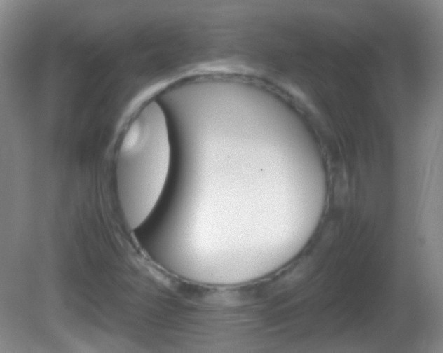 X0000082971358200702011131