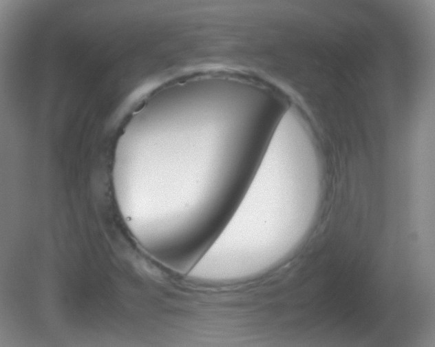 X0000082971359200702011131