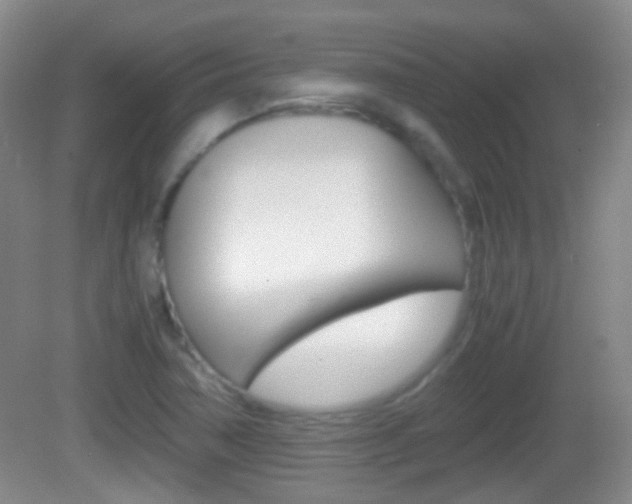 X0000082971362200702011131