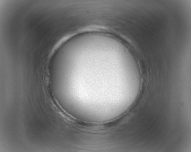 X0000082971363200702011131