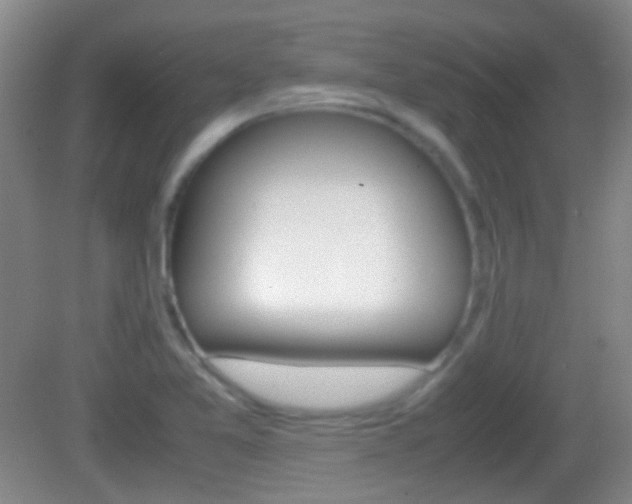 X0000082971365200702011131