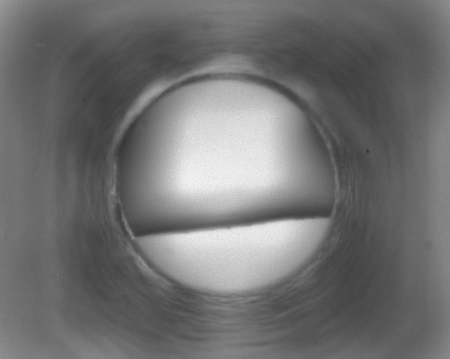 X0000082971366200702011131