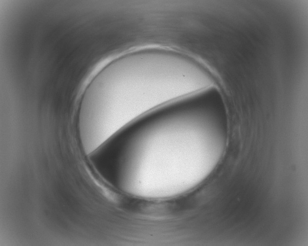 X0000082971367200702011131