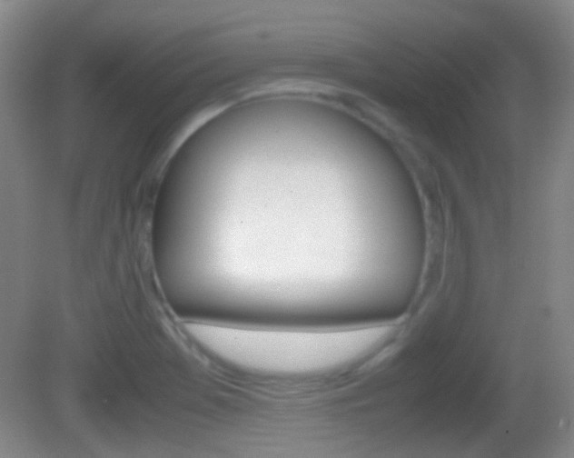 X0000082971369200702011131