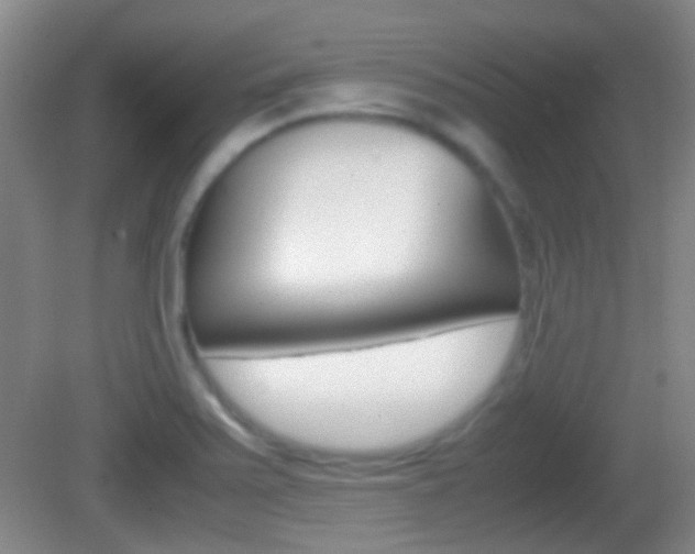 X0000082971371200702011131