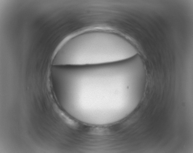 X0000082971374200702011131