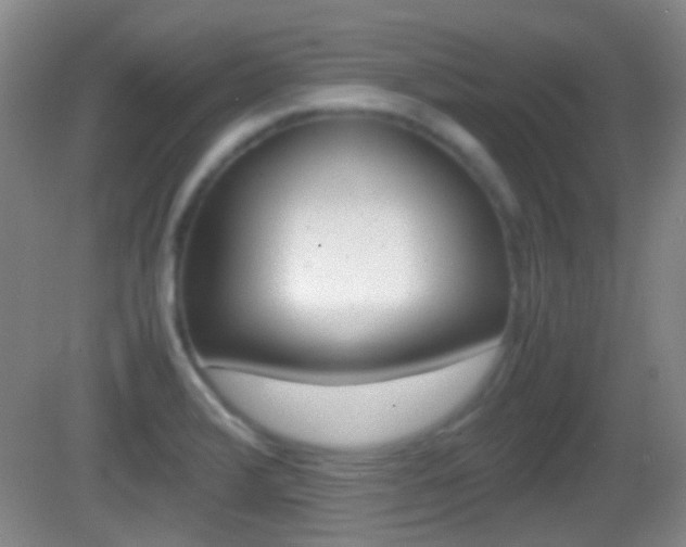 X0000082971376200702011131