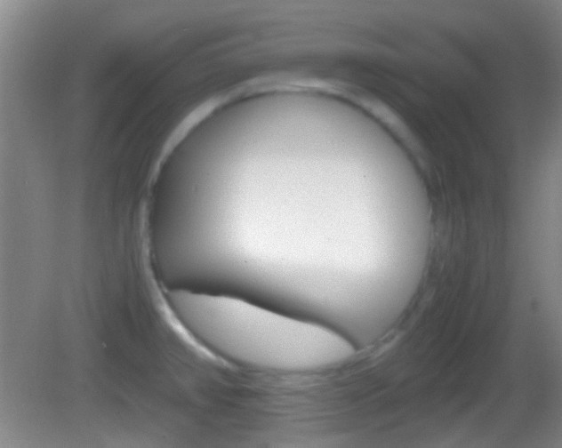 X0000082971382200702011131
