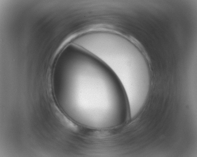X0000082971384200702011131