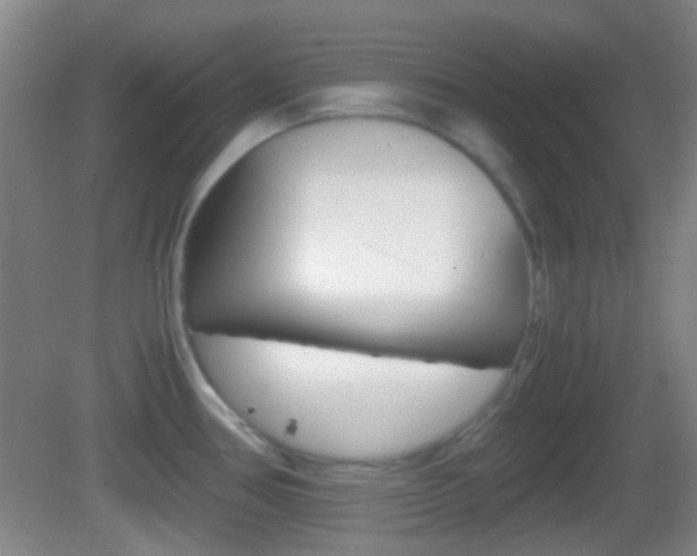 X0000082971386200702011131