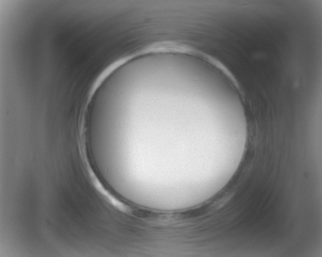 X0000082971387200702011131