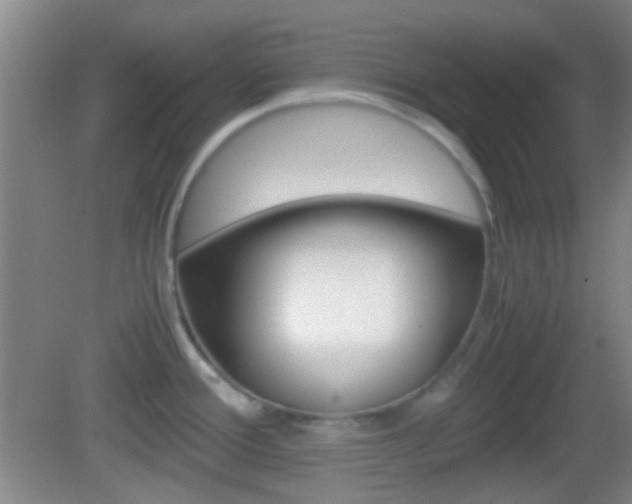 X0000082971388200702011131