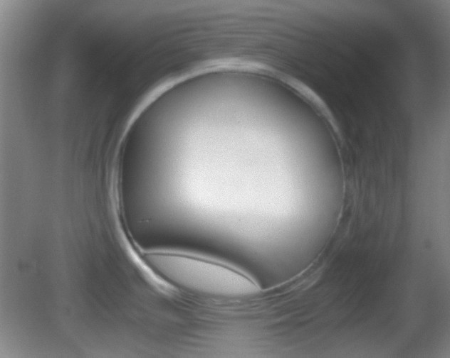 X0000082971391200702011131