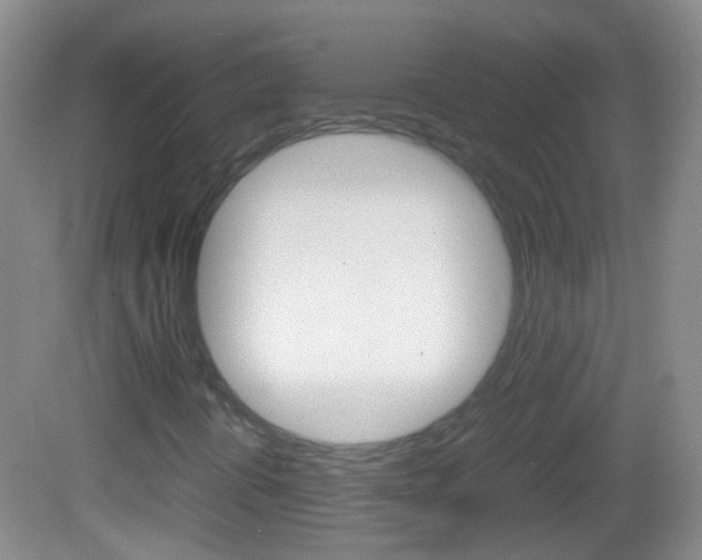 X0000082971394200702011130
