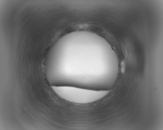 X0000082971395200702011130