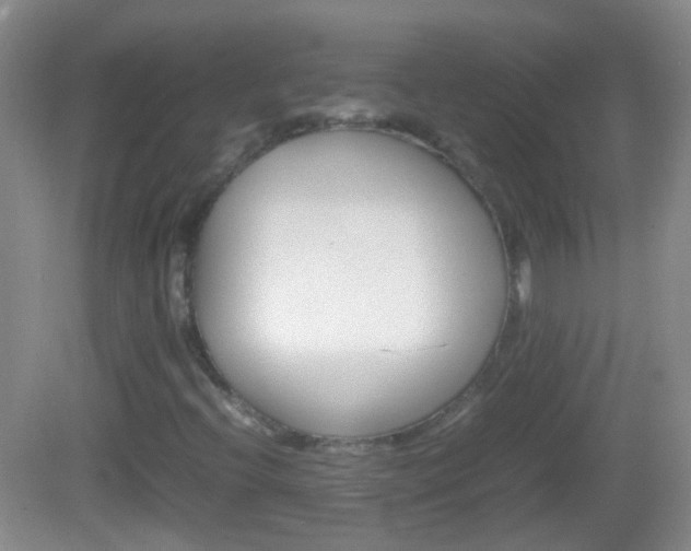 X0000082971396200702011130