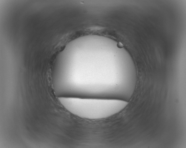 X0000082971397200702011130
