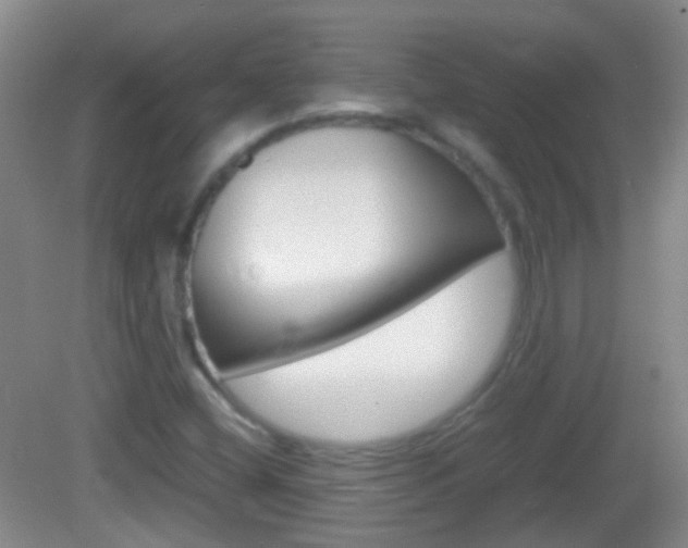 X0000082971404200702011130