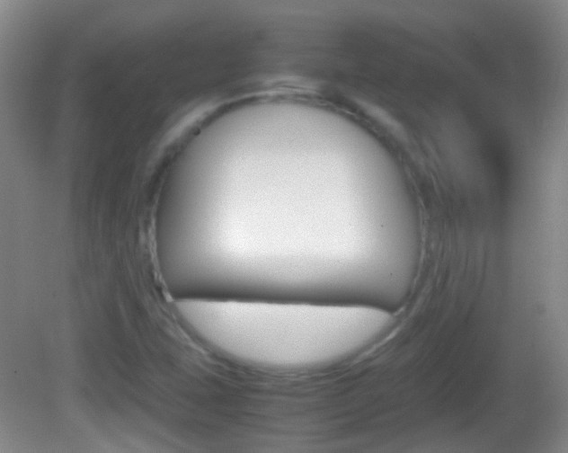 X0000082971407200702011130
