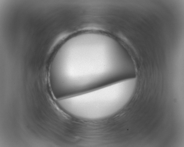 X0000082971408200702011130