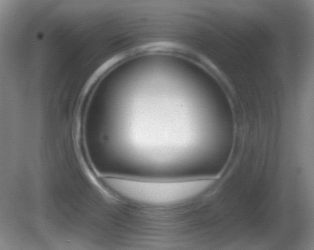 X0000082971418200702011131