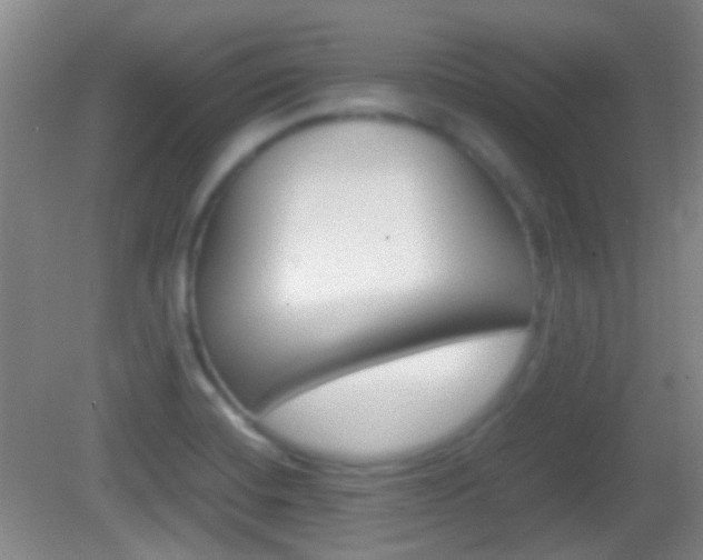 X0000082971420200702011131