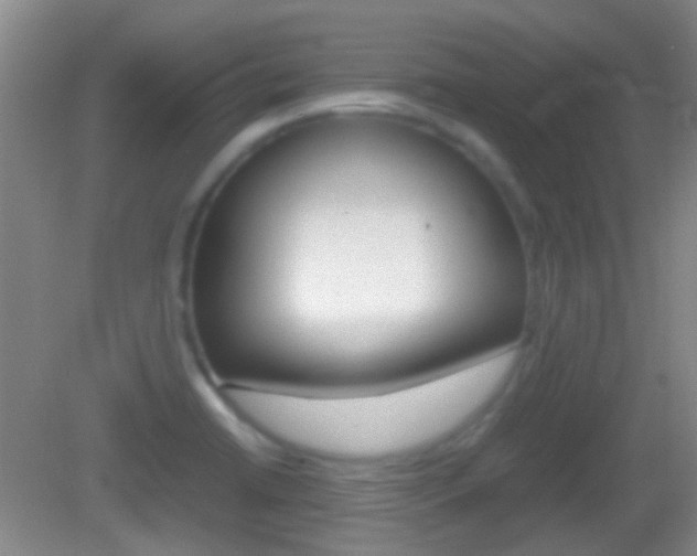 X0000082971422200702011131