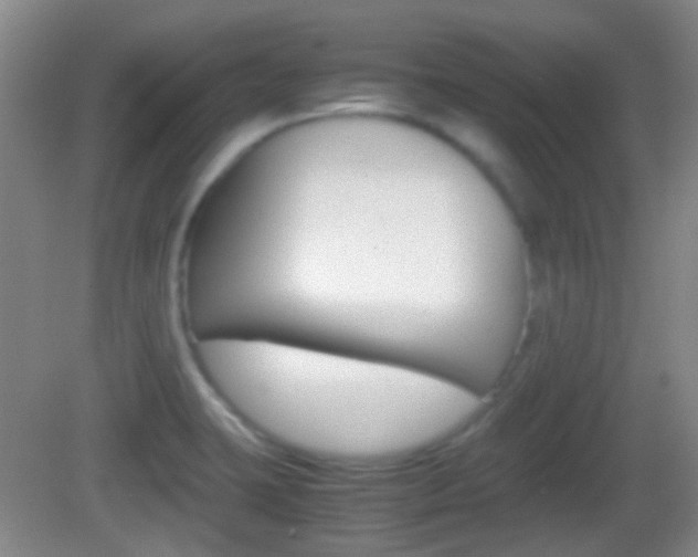 X0000082971423200702011131