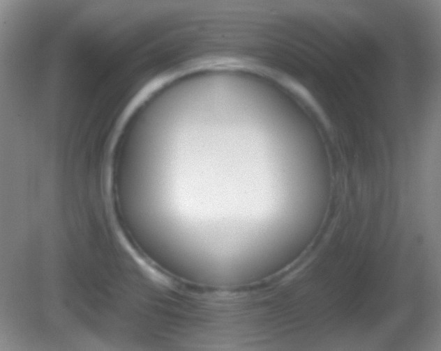 X0000082971424200702011131