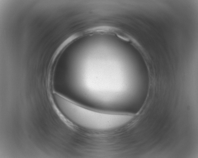 X0000082971426200702011131