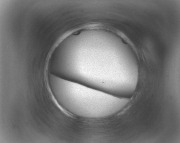X0000082971429200702011131