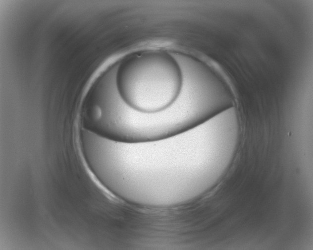 X0000082971432200702011131