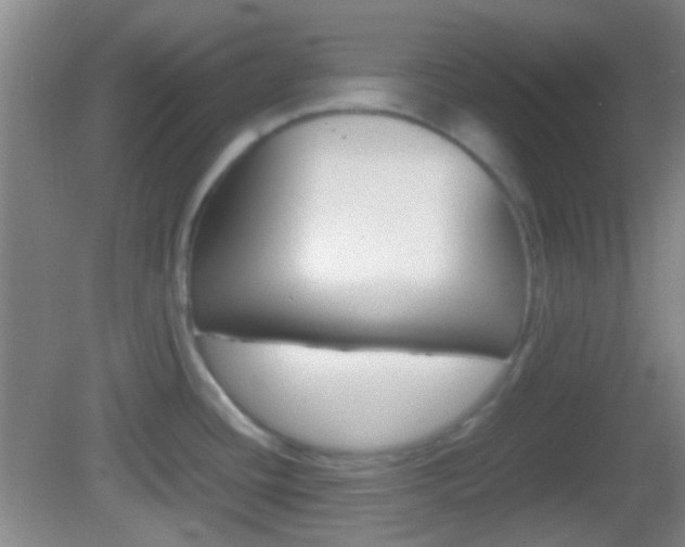 X0000082971436200702011131