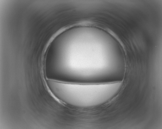 X0000082971437200702011131