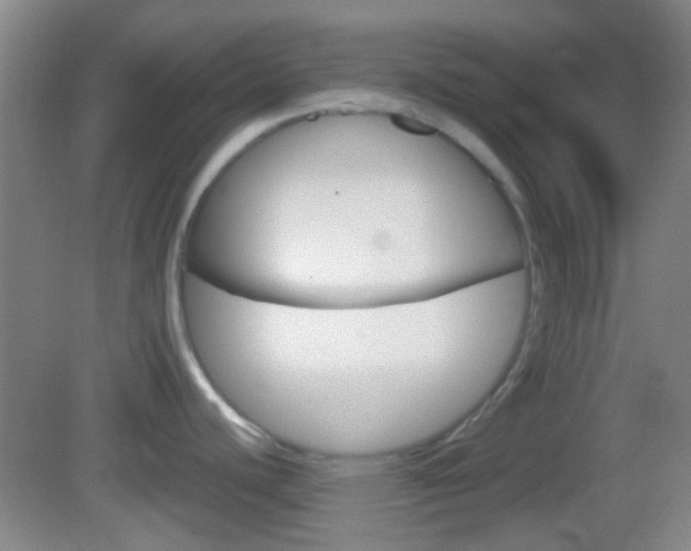 X0000082971440200702011131