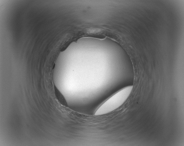 X0000082971441200702011130