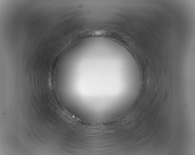 X0000082971442200702011130