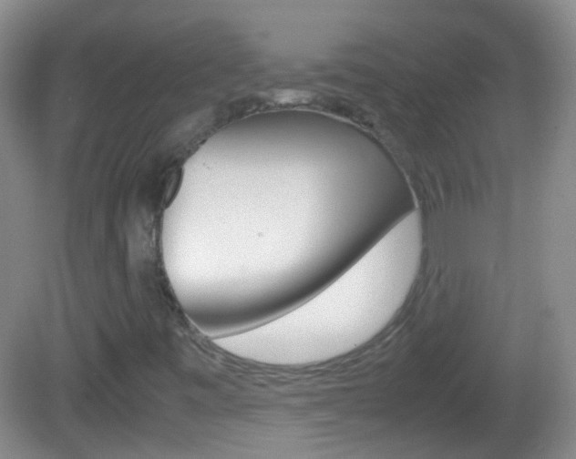 X0000082971443200702011130