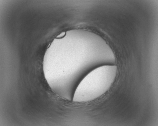 X0000082971447200702011130