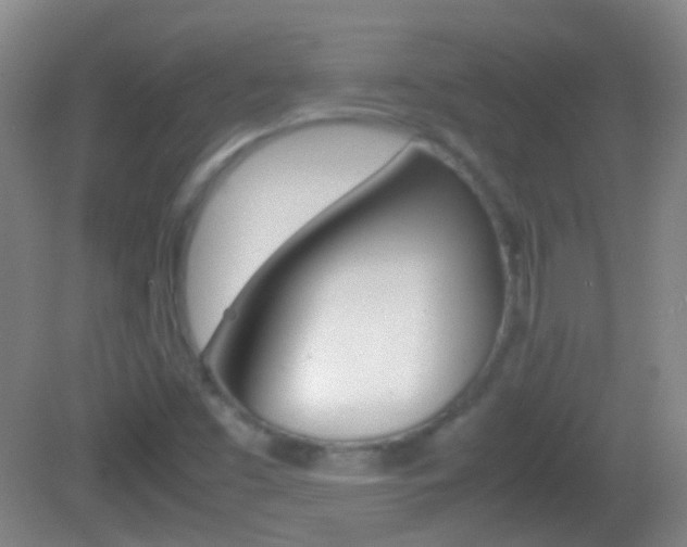 X0000082971453200702011130