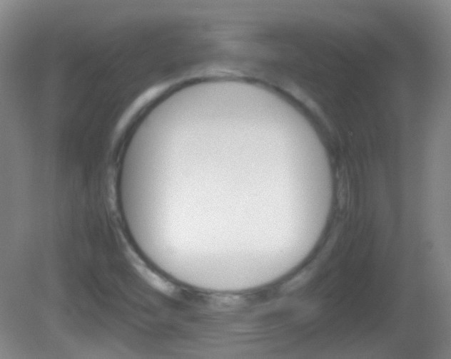 X0000082971454200702011130