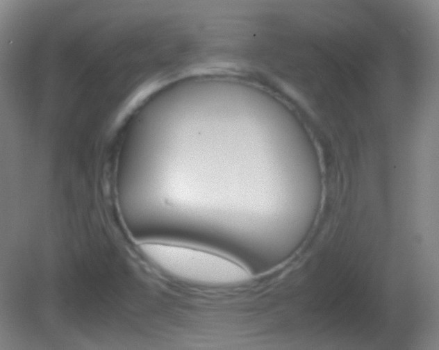 X0000082971455200702011130